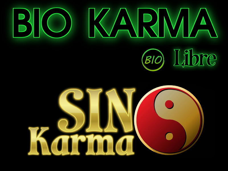 SIN KARMA - SIN BIO KARMA